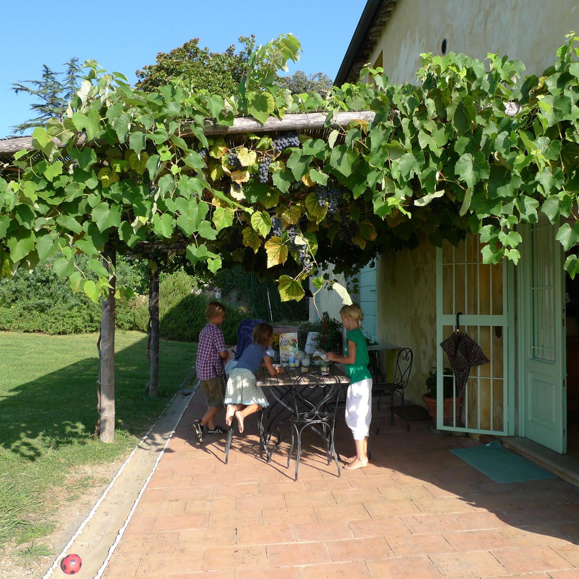 Azienda Agricola Fabbrica Di San Martino Lucca Exterior photo